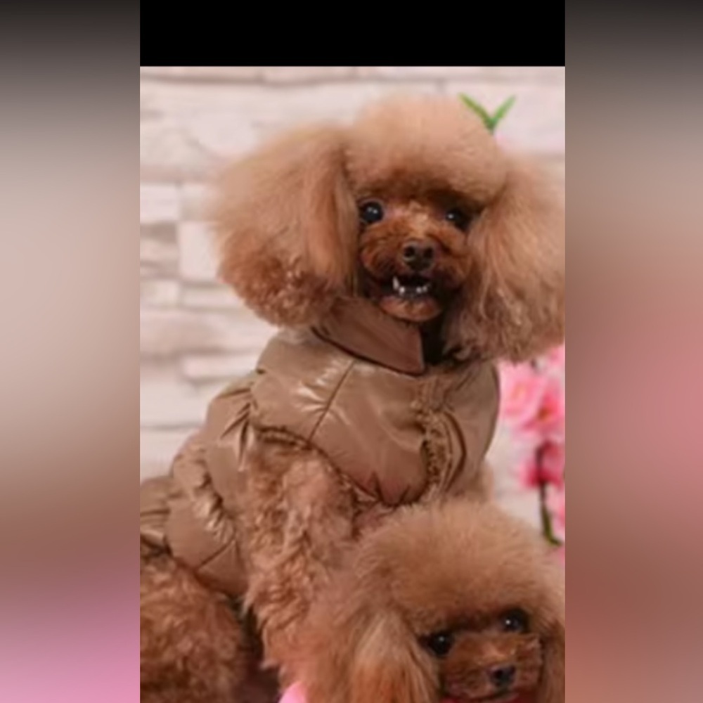 XL Brown Dog Jacket Coat Warm Puffer Vest
Winter Pet Clothes Cozy Large Dog